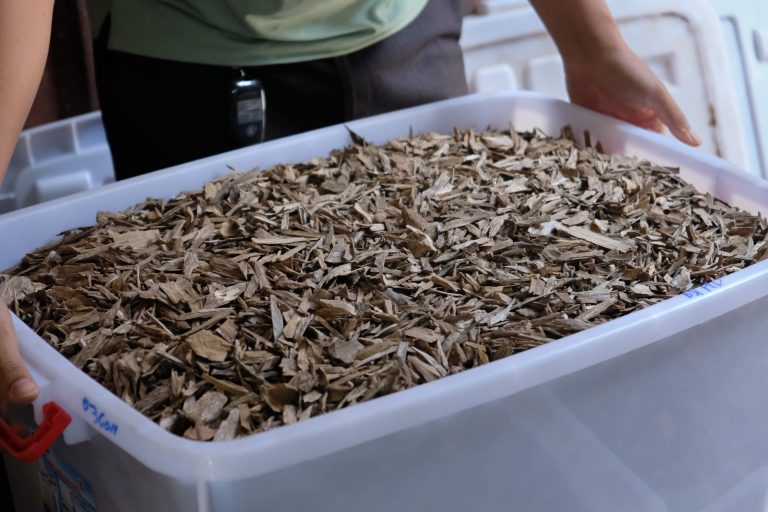 Trầm hương là gì? Nguồn gốc và phân loại