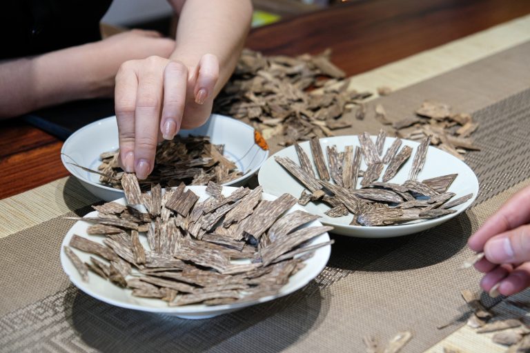 Trầm tốc kiến là gì? Đặc điểm để nhận dạng